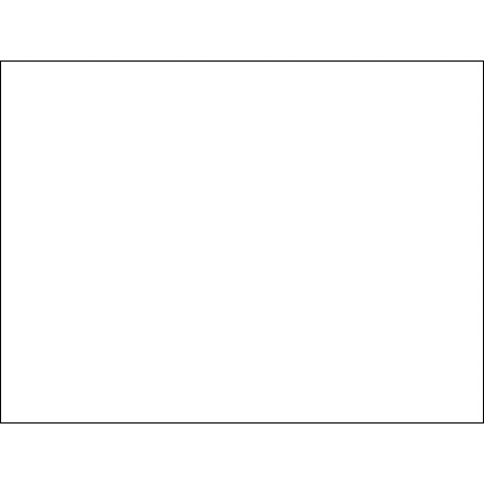 BSC PREFERRED Bsc Preferred DL639E Color-coding Labels 500 Per Roll