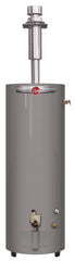 Rheem PROG40-30NRH62MHDV Professional Classic Gas Water Heater Direct Vent 40 Gallon 30k BTU