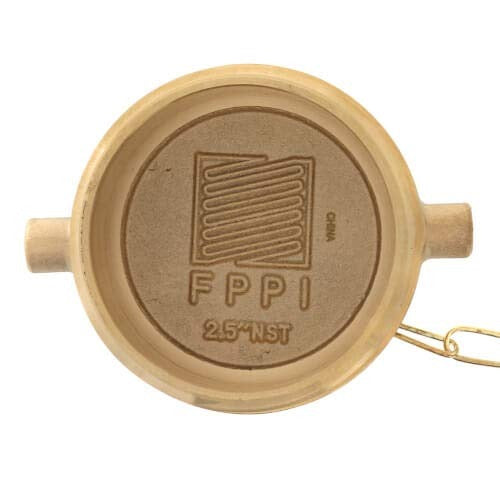 FPPI Fppi 07-450-00 Nst Fire Plug with Chain 2.5 in Brass