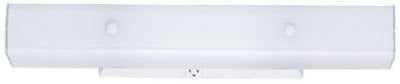 WESTINGHOUSE Westinghouse 66424 4-light Wall Bracket Grounded Outlet 24in