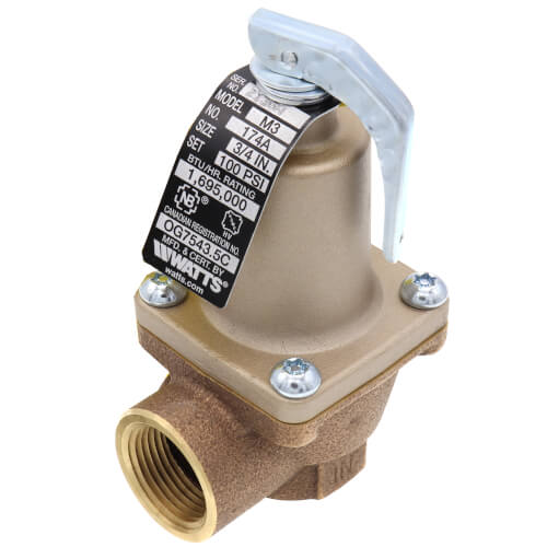 Watts 0274683 Series 174A 3/4 in. Bronze FNPT 100# 250 Relief Valve