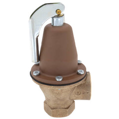 Watts 0275950 174A Pressure Relief Valve 100 psi 1-1/4 NPT Bronze