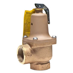 Watts 0276250 174A 1-1/4 NPT Bronze Pressure Relief Valve for Hot Water 150 psi