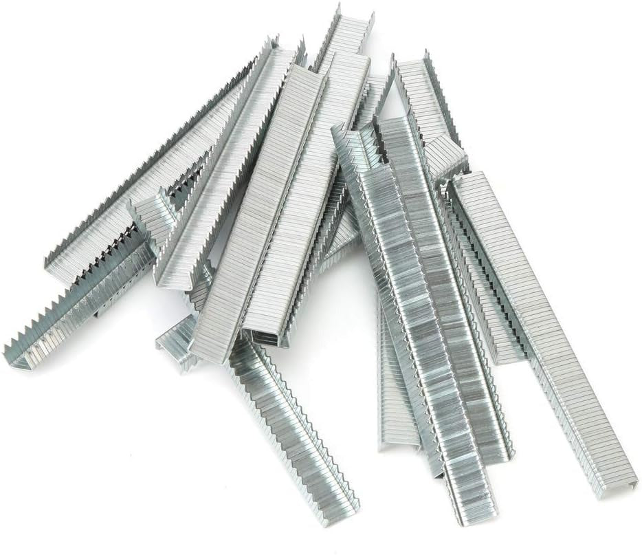 ARROW FASTENER Arrow Fastener 504IP T50 1/4-Inch Staples (5,000-Pack)