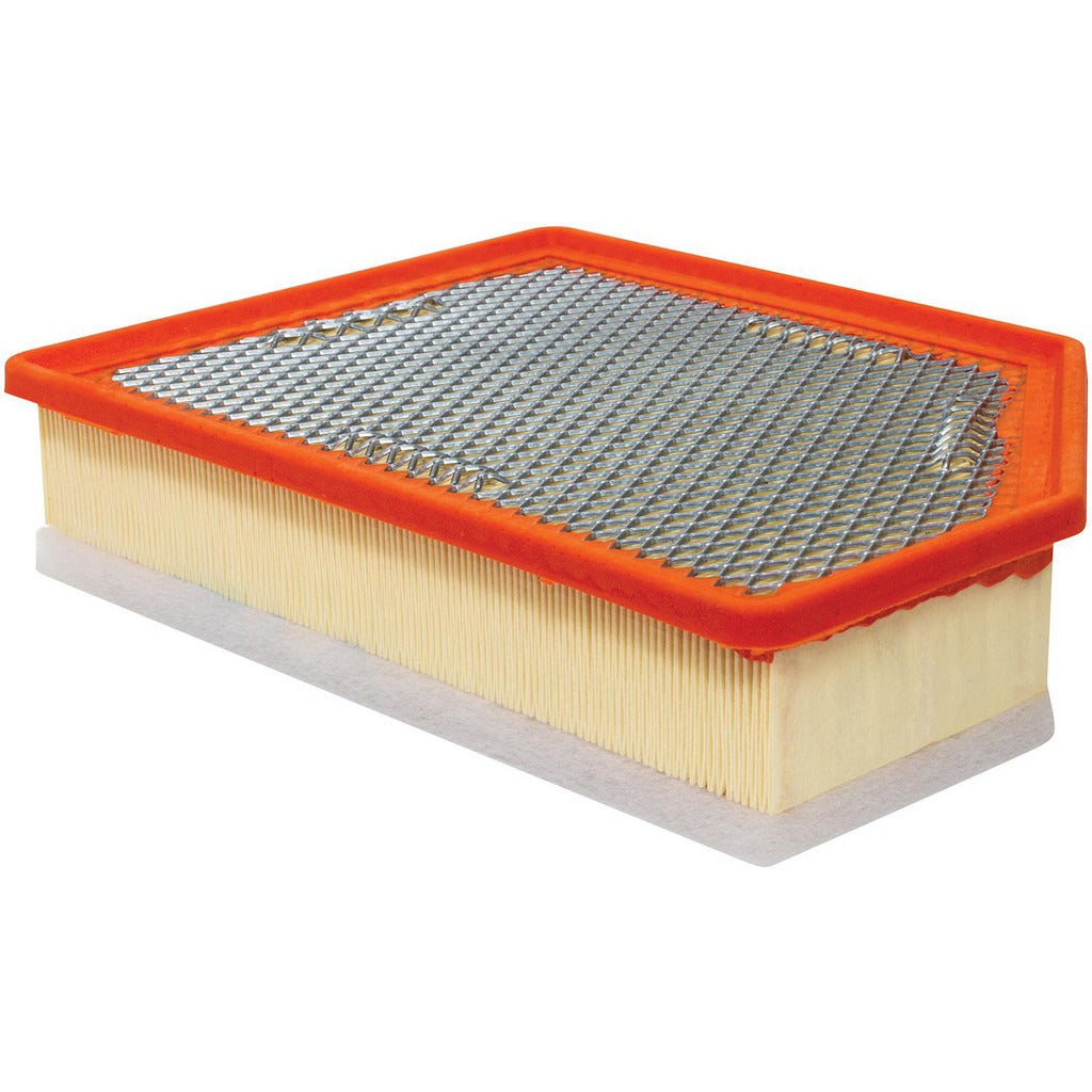 BALDWIN FILTERS Baldwin Filters PA10428 Air Filter Element