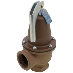 Watts 0383025 740-1 1/4-40# 2,590,000 BTU Boiler Pressure Relief Valve