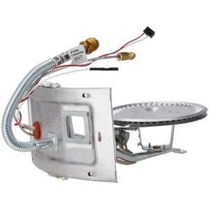 RHEEM RHEEM SP45395 Burner Assembly Kit