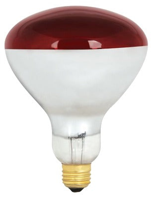 FEIT ELECTRIC Feit Electric 250R40/R 250W Red R40 Heat Lamp