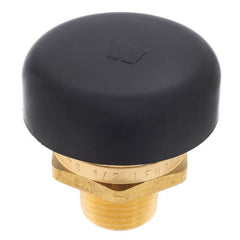 Watts 0556030 Series LFN36 1/2 in. Brass Vacuum Relief Valve 15 psi