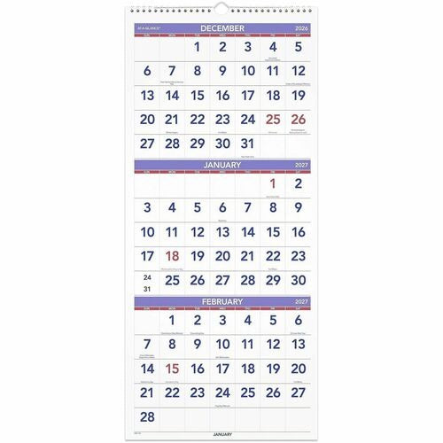 AT-A-GLANCE At-a-glance AAGPM1128 Wall Calendar 14 Month
