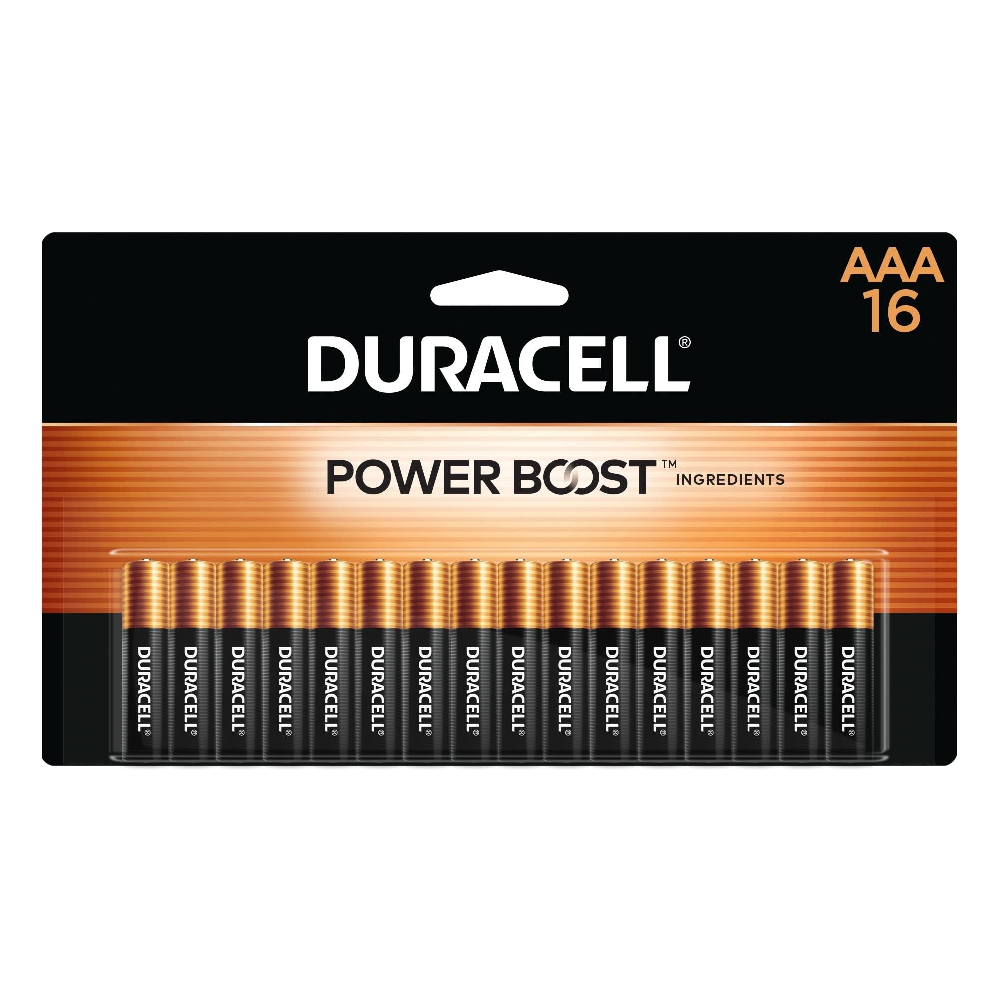 DURACELL Duracell MN2400B16Z Coppertop Alkaline AAA Batteries 1.5V (16 Pack) 4330209519