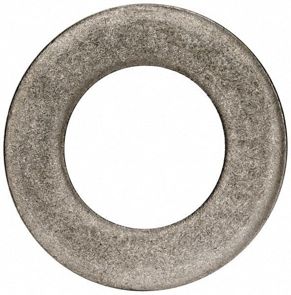 VALUE COLLECTION Value Collection FWUIS300-010BX Uss Flat Washer 3 in