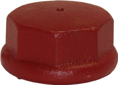 ASHLAND Ashland Water Group DC125 Drive Cap 1.25 Inch Cast Iron