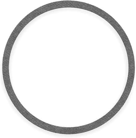 BELL AND GOSSETT Bell And Gossett P05800 Gasket (1 each) 556300
