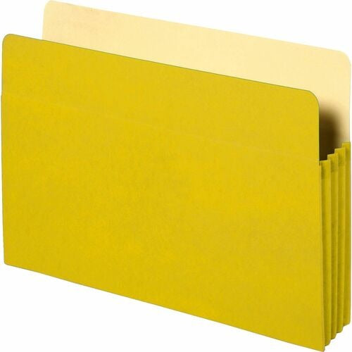 BUSINESS SOURCE Business Source BSN26553 Expanding Pocket File Letter 3.5in