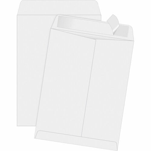 QUALITY PARK Quality Park QUA44834 Catalog Envelope 28 Lb Box of 100