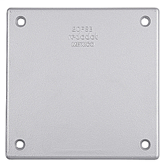 ABB 2CFSB RD 2CFSB 2 Gang Blank Cover-Box Mount