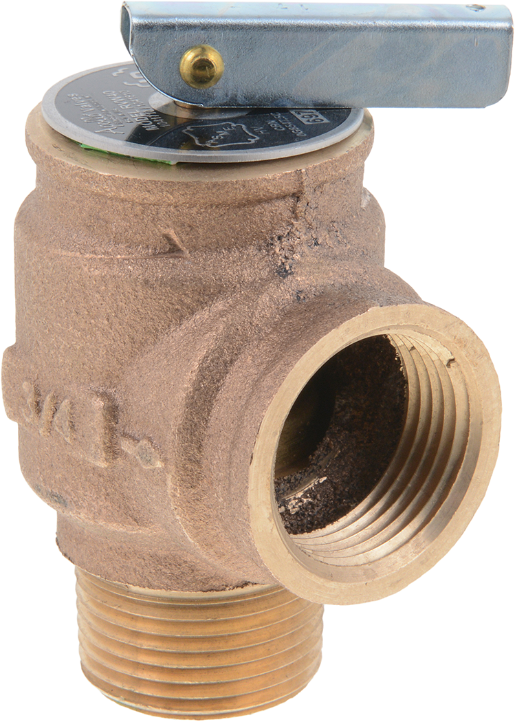 AO Smith 100208454 Relief Valve 50 Psi