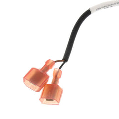 Lochinvar 100208548 Sensor Immersion Outlet