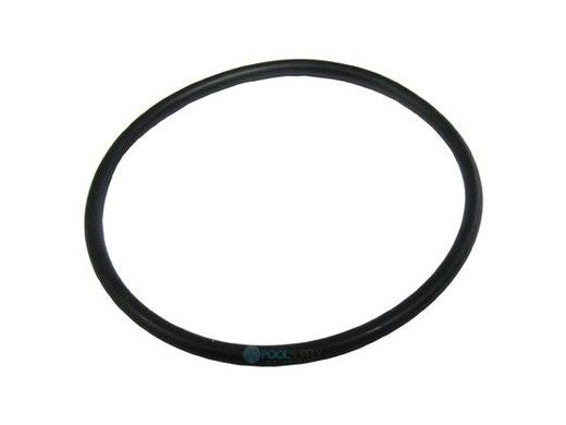 Pentair 35505-1246 O-Ring for Index Plate