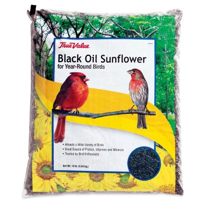 TRUE VALUE B115910 True Value Black Sunflower Bird Seed 10-Lb.