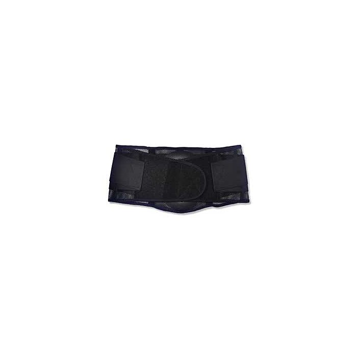 ERGODYNE Ergodyne 20185 ProFlex 1051 Polyester Back Support Power Panels Large E5720185