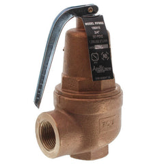 Apollo Valves 1060410 3/4 RVW60 1,209,000 BTU Capacity Bronze Relief Valve 50 psi