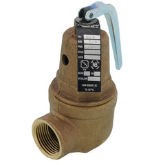 Apollo Valves 10-614-12 3/4 FNPT x 1 FNPT RVW61 Relief Valve 60 psi