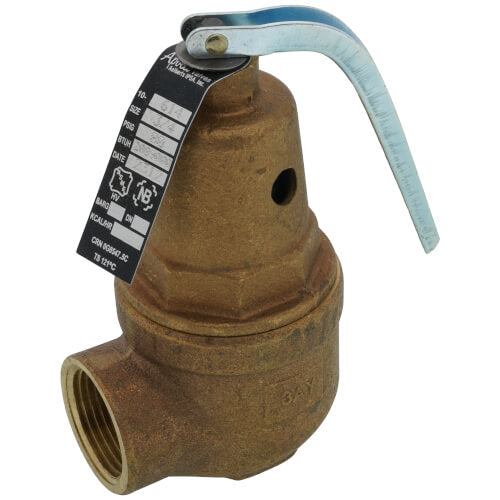 Apollo Valves 10-600 Series 3/4 x 1 in. Bronze FNPT 80# Relief Valve MPN 10-614-16