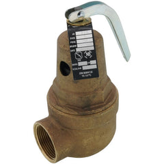 Apollo Valves 10-615-12 1 FNPT x 1-1/4 FNPT RVW61 2657000 BTU Bronze Hot Water Relief Valve 60 psi