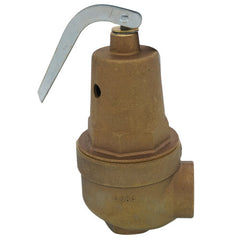 APOLLO VALVES 10-616-05 Hot Water Relief Valve 1-1/4 inch x 1-1/2 inch 30 psi Bronze