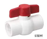 Mueller 107-135 1 IPS PVC Ball Valve