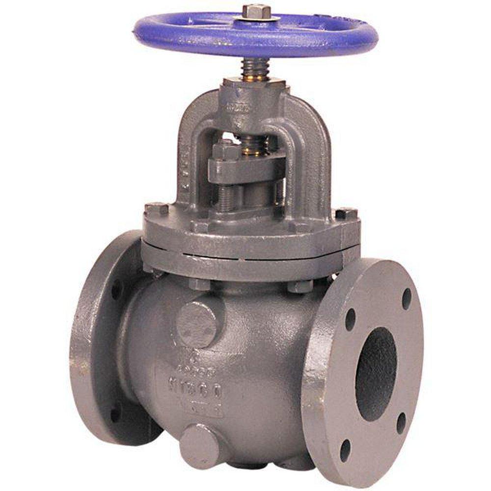 NIBCO NHC300E F-718-B Globe Valve 125 lb 2-1/2 in