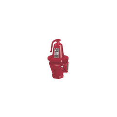 Bell & Gossett 110033 Relief Valve 30# 3300000 BTU