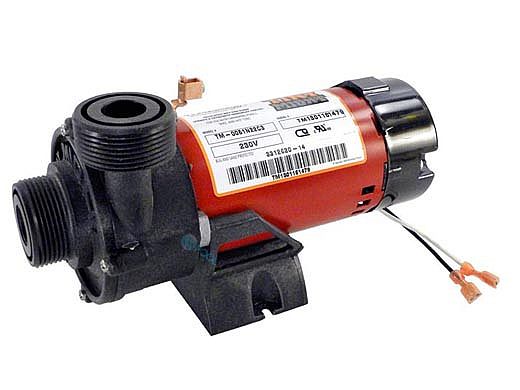 Waterway Plastics 3312620-14 Tiny Might Circulation Pump 230V 1/16HP