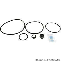 Aladdin GO-KIT47 Sta-Rite Dyna-Glas & J Series Aladdin Go-Kit 47 Replacement Pump & Valve Repair Kit