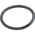 Hayward RSX750UG Gasket-Union, Rs Pump