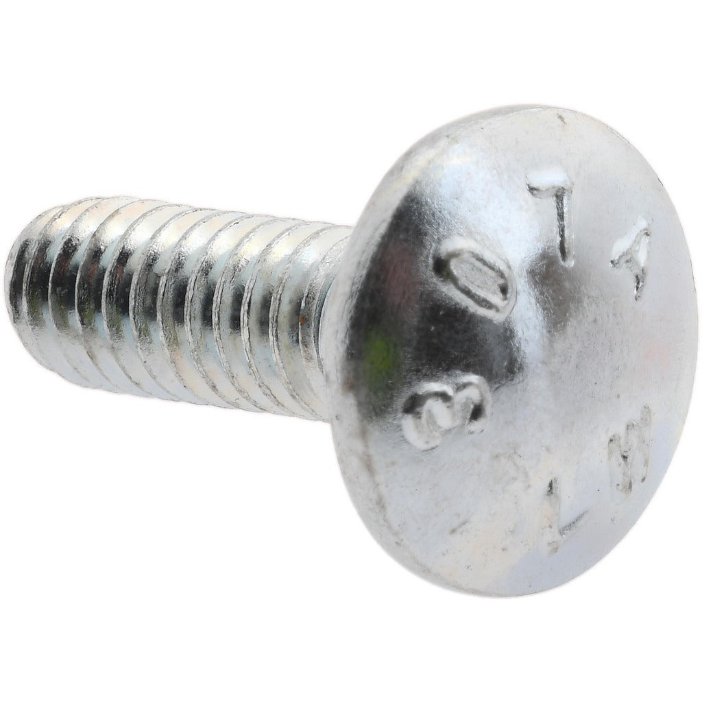 VALUE COLLECTION Value Collection 34575 Carriage Bolt 1/4-20 3/4 in Square Neck