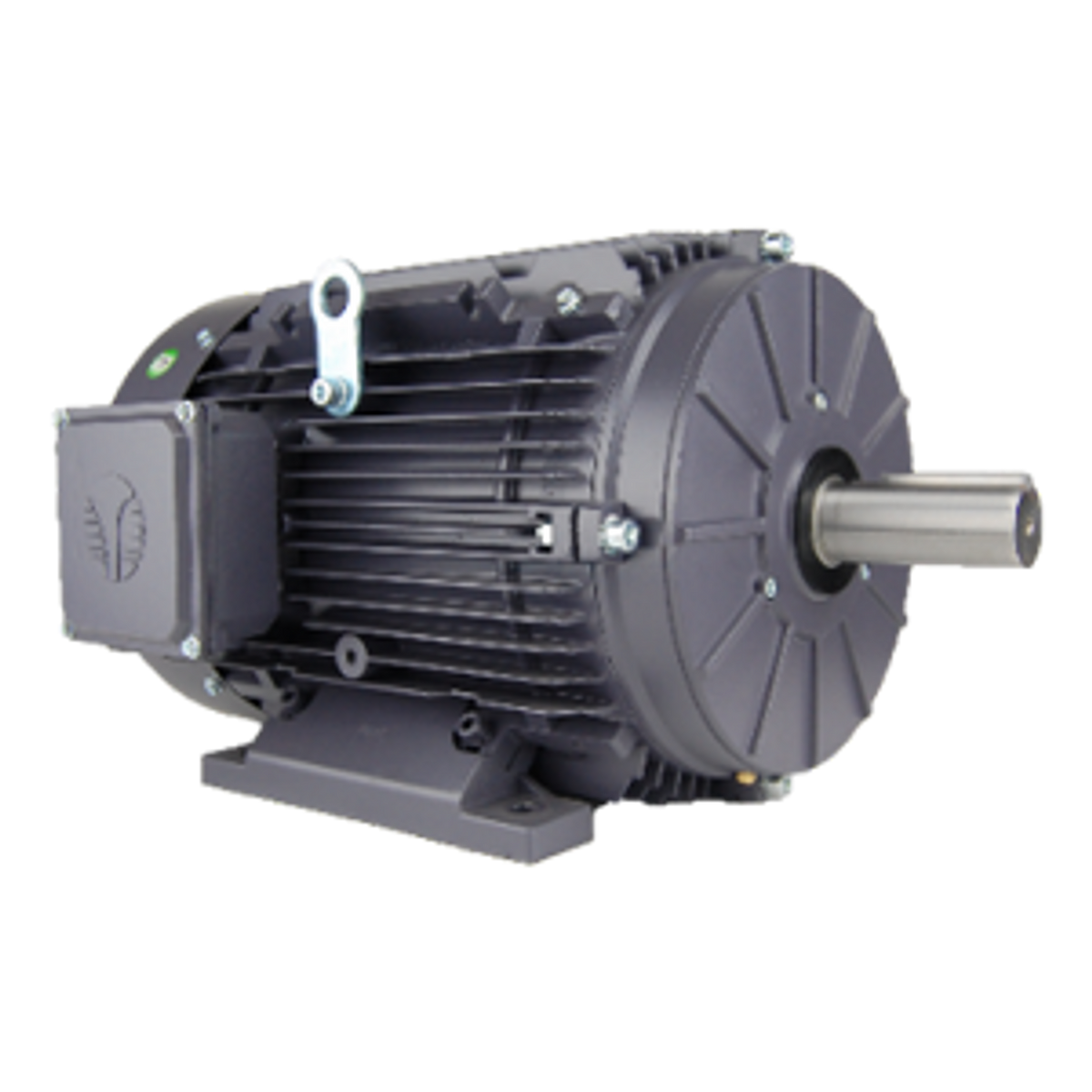 Marathon Motors MGT1513 5HP General Purpose Motor