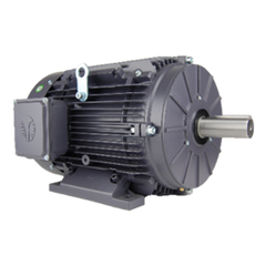 Marathon Motors MGT1513 5HP General Purpose Motor