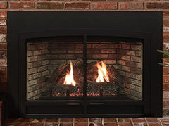 Empire Industries DVC20IN31N Innsbrook Small Direct-Vent Fireplace Insert - NG