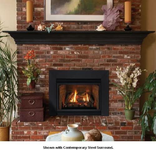 Empire Industries DV35IN33LN Direct Vent Fireplace Insert - 35,000 BTU Natural Gas