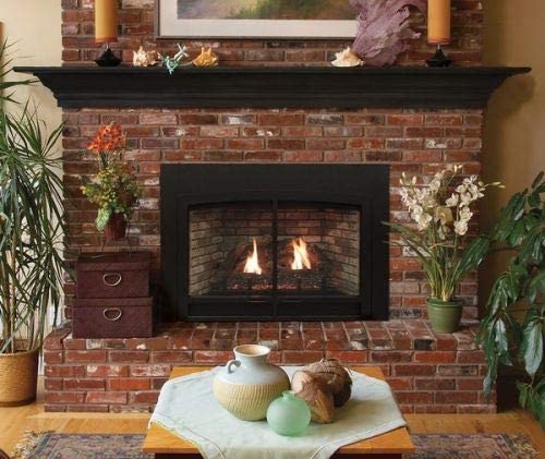 Empire Industries Innsbrook DVC26IN31P Medium DV Clean Face MV Fireplace Insert - LP