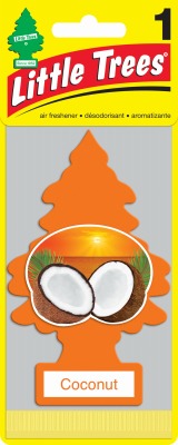 LITTLE TREES Car Freshner Corp U1P-10317 Coconut Air Freshener 24 Pack