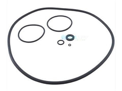 Zodiac Pool Systems R0466300 O-Ring Set