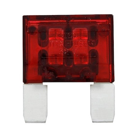 EATON Eaton BP/MAX-50-RP Maxi Automotive Fuse 50 A (Pack of 2)