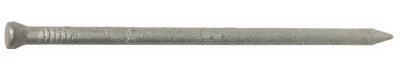 HILLMAN Hillman Fasteners 461306 8D Galvanized Finish Nail 2.5in