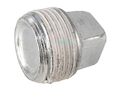 Pentair U78-60ZPS Zinc Plug for MasterTemp and Max-E-Therm Heaters 3/4 Inch MPT