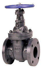 Nibco NHAC00E F-619 2-1/2 in Cast Iron Full Port Flanged Gate Valve