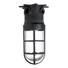 EPCO 15801 ProSeries Utility Light Fixture 150 Watt Each